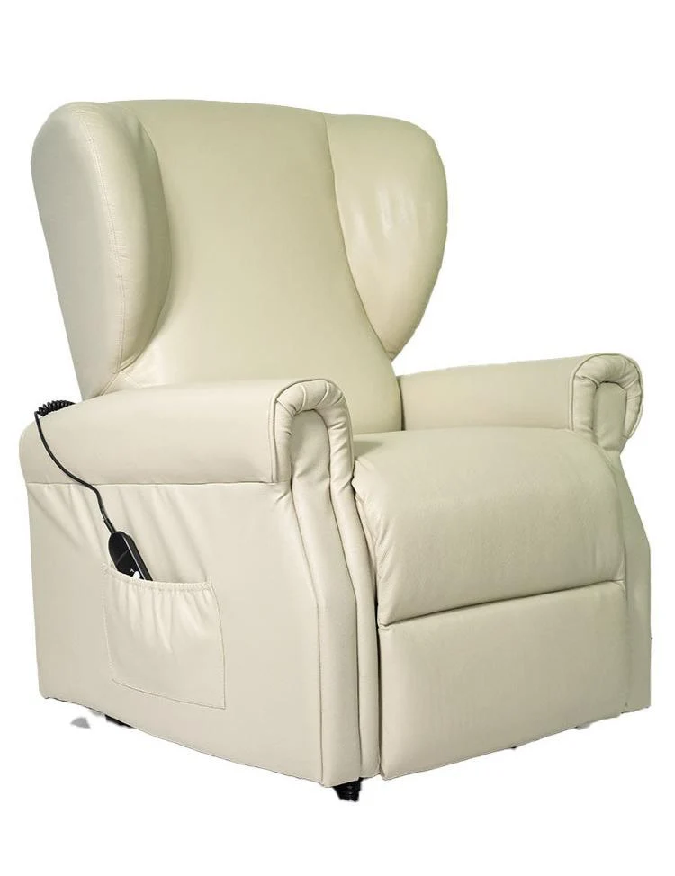 Vanessa2 in pelle Poltrona Relax elettrica reclinabile 2 motori 2 Ruote Detraibile 19%