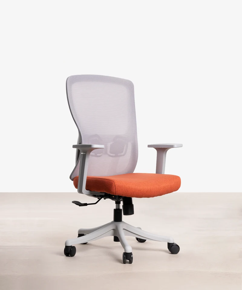 Silla Oficina Ergonómica de Nylon Sage