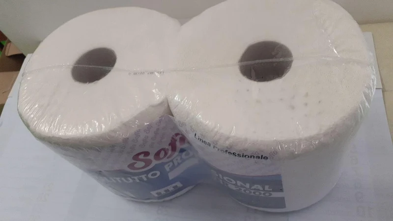 ROTOLONI DI CARTA SOFIA X 2 PULITUTTO PROFESSINAL SUPER 2000
